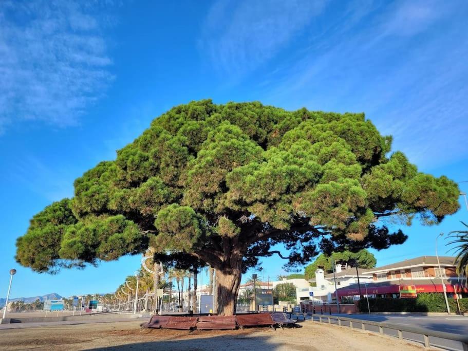 Apartmán Cambrils Dulces Suenos Exteriér fotografie